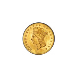 gold indian princess coin for sale