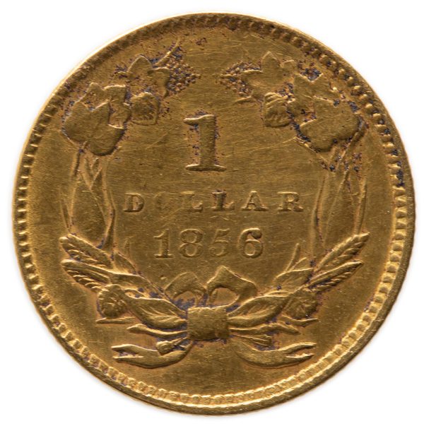 one dollar indian princess head gold coin from the back